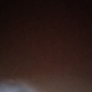 Meet your Posher, Tamara